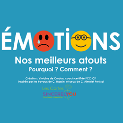 formation sincerelyou sincerelyou formation sur les Emotions